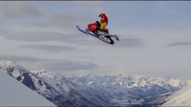 Hybrid Color | Winter Project